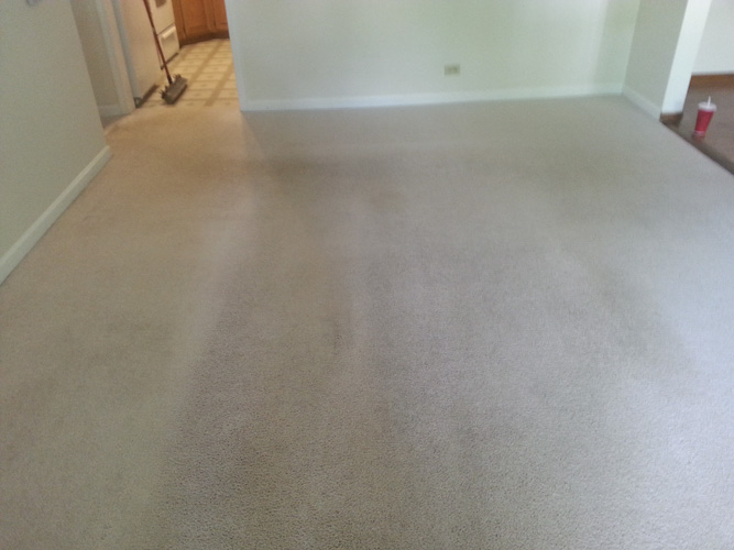 Real carpet cleaning result in Aurora IL by Royal Treatment