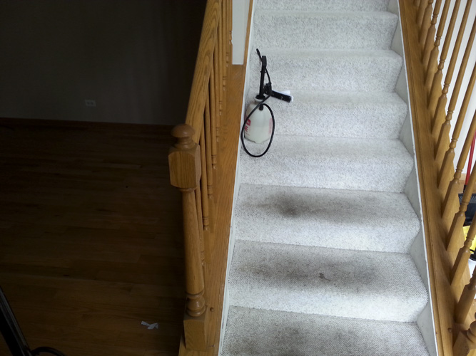 Real carpet cleaning result in Aurora IL by Royal Treatment