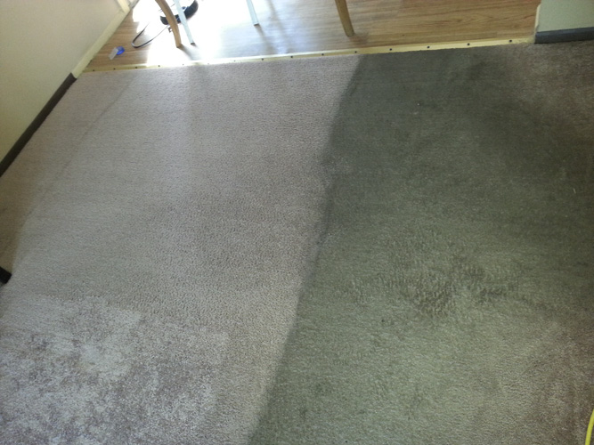 Real carpet cleaning result in Aurora IL by Royal Treatment