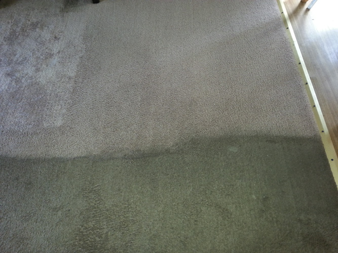 Real carpet cleaning result in Aurora IL by Royal Treatment