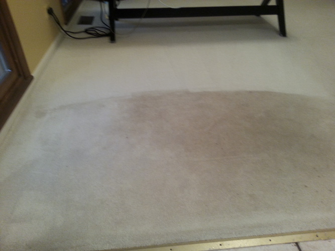 Real carpet cleaning result in Aurora IL by Royal Treatment