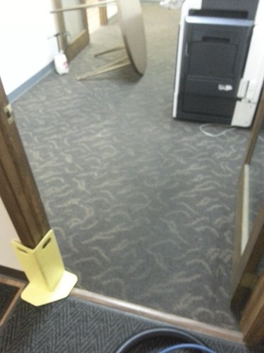 Real carpet cleaning result in Aurora IL by Royal Treatment