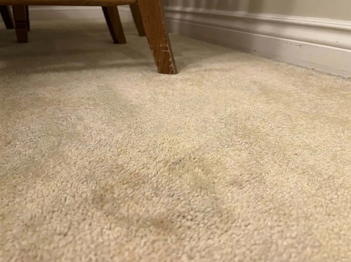 Same cream carpet spotless after professional stain removal
